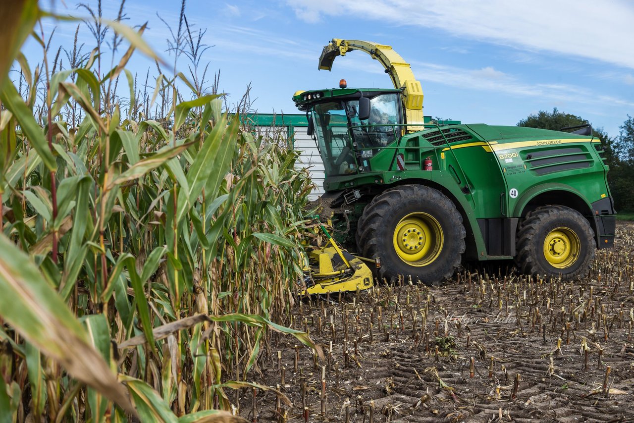 Bild 167 - Maisernte